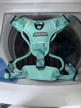 Arcadia Comfort Dog Harness with Woven Accent Mint Quick Dry Medium